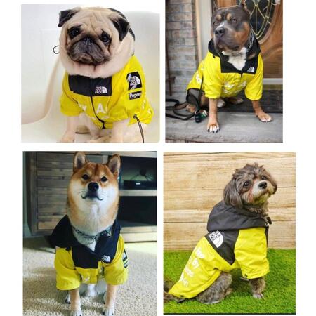 THE DOG FACE　犬　犬用　レインコート　犬服　小型犬　中型犬　大型犬　おしゃれ　カッパ　フード付き　雪　梅雨　雨具