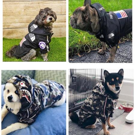 THE DOG FACE　犬　犬用　レインコート　犬服　小型犬　中型犬　大型犬　おしゃれ　カッパ　フード付き　雪　梅雨　雨具