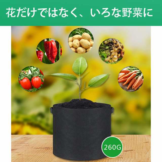 不織布ポット 5ガロン 不織布プランター 5個セット 植木鉢 10号 30x25 大型 軽量 深鉢 フェルト 布鉢 黒 家庭菜園 の通販はau PAY  マーケット なでしこSTORE au PAY マーケット－通販サイト