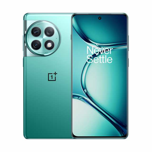 OnePlus Ace 2 Pro PJA110 Dual Sim 24GB RAM 1TB 5G 緑 新品 SIMフリー スマホ 本体  1年保証｜au PAY マーケット