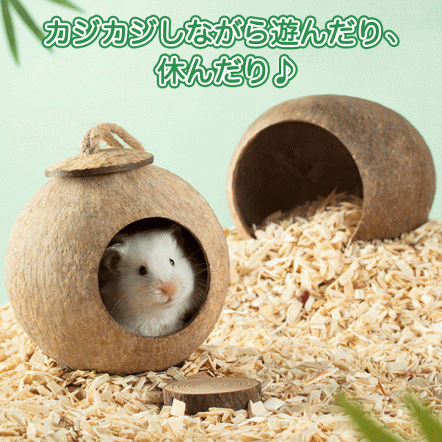ペットおもちゃ ハウス 鳥ハンモック ハウス ペット用品 可愛い ハムスターハウス ハンモック コナッツシェル 鸚鵡 遊園地 モルモット の通販はau  PAY マーケット - pandastore | au PAY マーケット－通販サイト