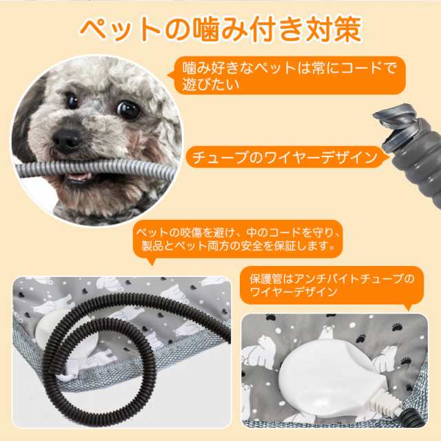 ひーちゃん3081