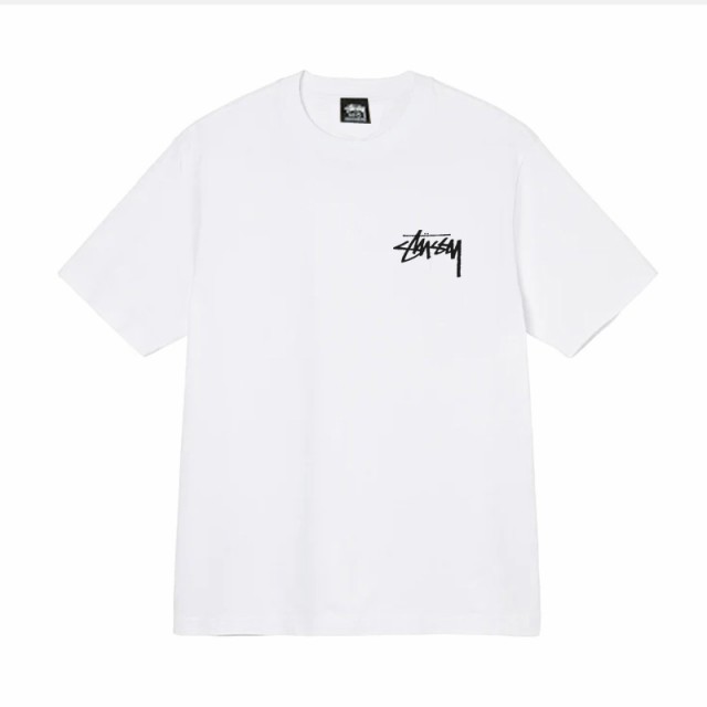 STUSSY ステューシー Tシャツ Tシャツ 半袖 並行輸入品の通販はau PAY ...