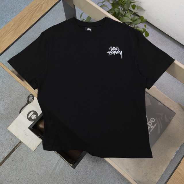 STUSSY Angel T-Shirt ステューシー　半袖