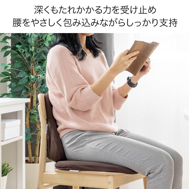 ザ・アウルバッククッションスタンダード クッション 座布団 エクスジェル EXGEL 日本製 ジェル 腰 姿勢 腰痛 腰当てクッション 腰当て オフィス 椅子 背もたれ 背もたれクッション 腰痛対策 骨盤 ランバーサポート チェア ギフト テレワーク_5