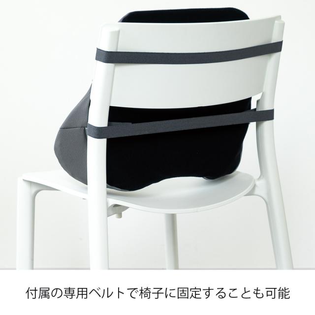 ザ・アウルバッククッションスタンダード クッション 座布団 エクスジェル EXGEL 日本製 ジェル 腰 姿勢 腰痛 腰当てクッション 腰当て オフィス 椅子 背もたれ 背もたれクッション 腰痛対策 骨盤 ランバーサポート チェア ギフト テレワーク_12