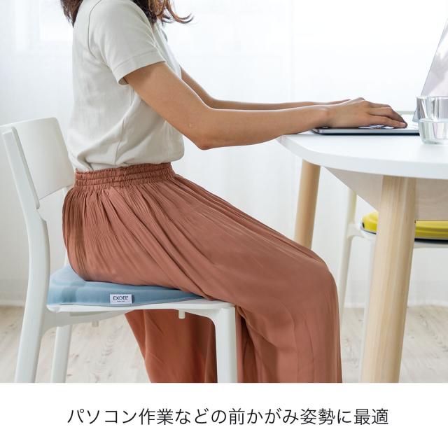 クッション テレワーク 人気アイテム エクスジェル メーカー公式 EXGEL まるプニフィット PUN22 日本製 ジェルクッション 腰 姿勢 腰痛 デスクワーク 腰痛対策クッション 体圧分散 骨盤 座布団 オフィス 椅子 チェア プレゼント ギフト 骨盤サポートクッション_10