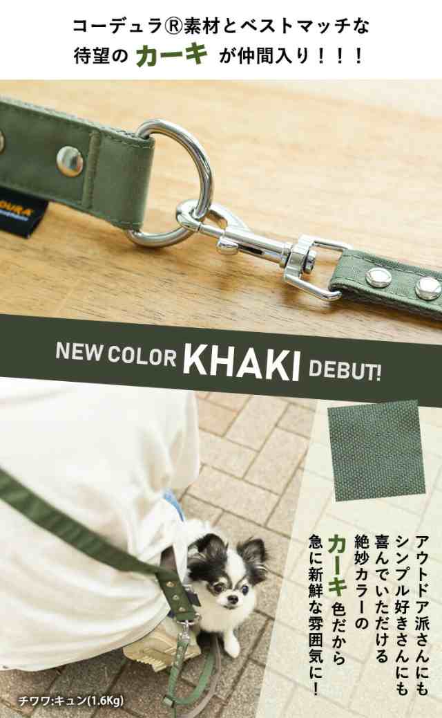 犬 小型犬 犬用 首輪 ラディカ radica 迷子防止 脱走防止 カラー カジュアル ラディ ファッション テープ リボン 返品交換不可 メール便可RADICA Y カラー