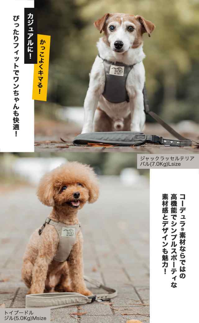 犬 小型犬 犬用 ハーネス 犬具 胴輪 ラディカ radica 迷子防止 脱走防止 リードセット お出かけ おしゃれ かわいい ブランド 返品交換不可 メール便可 ストロール ソフト ハーネス＆リード