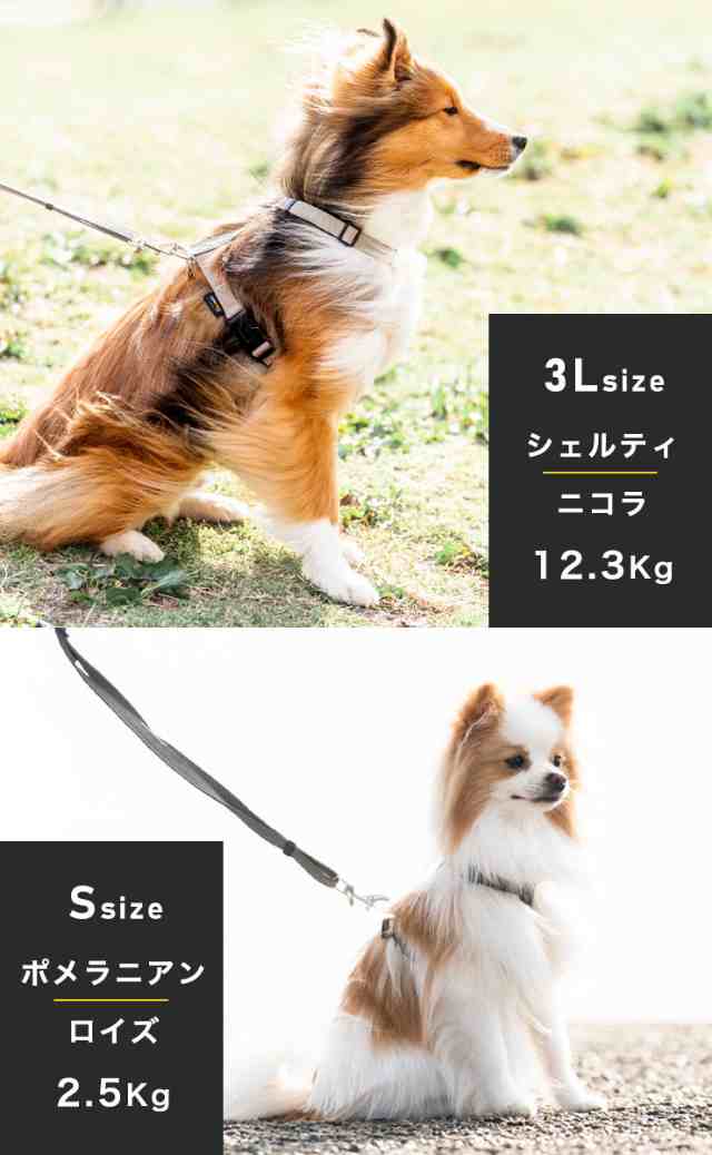 SALE 犬 ハーネス ラディカ コーデュラ (R) スライドフィットハーネス