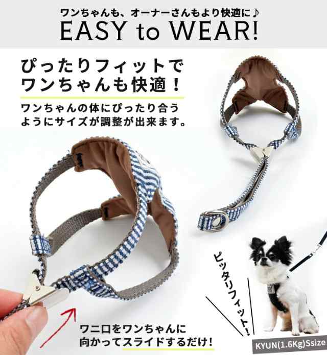 犬 小型犬 犬用 首輪 ラディカ radica 迷子防止 脱走防止 カラー カジュアル ラディ ファッション テープ リボン 返品交換不可 メール便可RADICA Y カラー