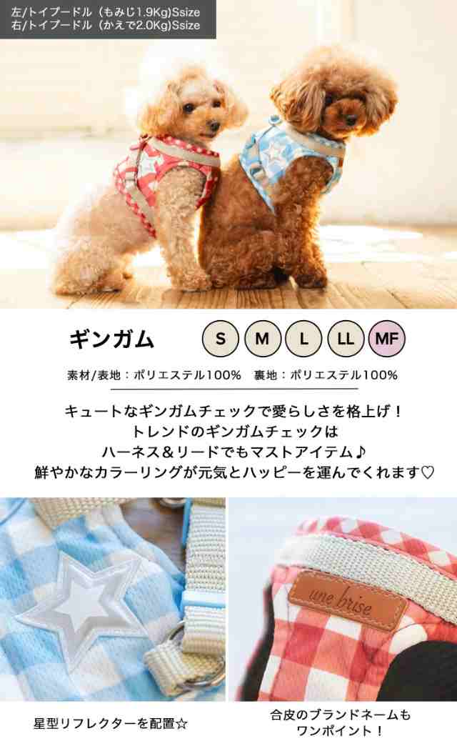 RADICA+Y ハーネス単品 S M / RADICA ラディカ 返品不可 メール便可 犬 ...