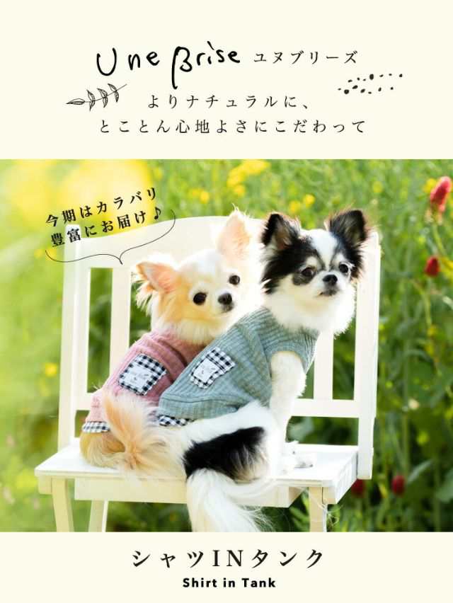 匿名発送】犬用お洋服 ラディカ - 犬用品