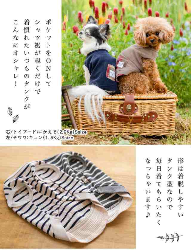 犬 服 ラディカ ライフWANウエア ロンパース 抗菌 防臭 血行促進 体幹安定 特許取得 イフミック  ドッグウエア メール便可