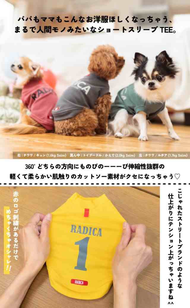 990円均一SALE】ロゴショートスリーブTEE / RADICA ラディカ 交換/返品