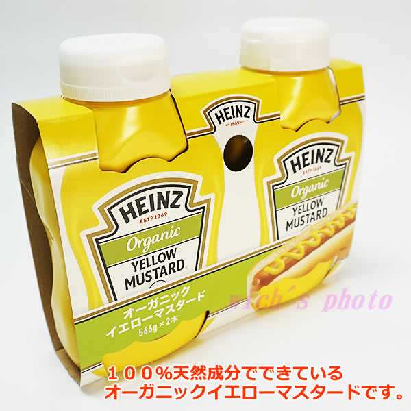 マスタード(カラシ)100個 - 調味料・料理の素・油