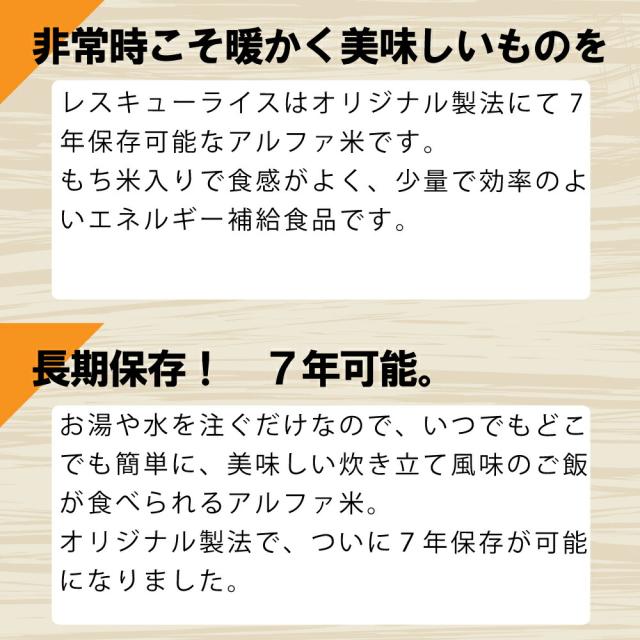 非常食 7年保存 アルファ米 レスキューライス「ドライカレー 100食セット/箱」賞味期限7年 国産米（防災 食品 アルファー米 アルファ化米 非常食セット 保存食セット 防災セット 防災グッズ 防災用品 非常用 備蓄品_2