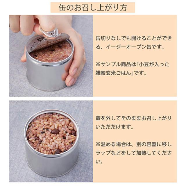 鮭とたらこのオイル漬け IZAMESHI(イザメシ) CAN 非常食 防災食 3年