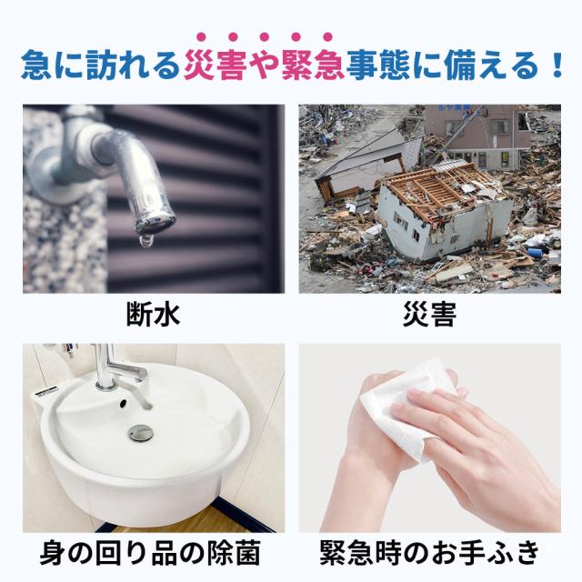 衛生用品 10年保存できる防災用ウェットティッシュ 200個/ケース 長期保存 ノンアルコール 無香料 防災グッズ 災害 水害 ES7YWT EVERSAFE_2