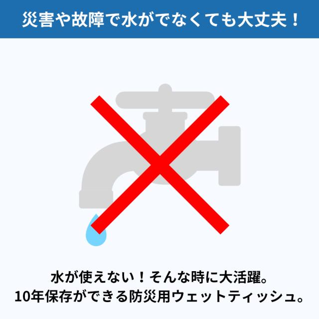 衛生用品 10年保存できる防災用ウェットティッシュ 200個/ケース 長期保存 ノンアルコール 無香料 防災グッズ 災害 水害 ES7YWT EVERSAFE_4