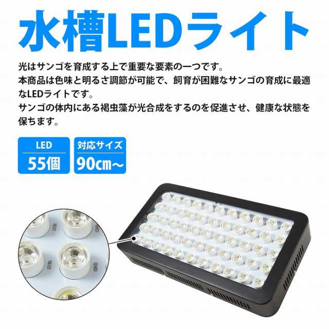 海水魚 サンゴ水槽用 1w Led照明 Ledライト プレート型 フルスペクトル 高機能 高性能 水槽用照明 サンゴ照明の通販はau Pay マーケット Wide Range