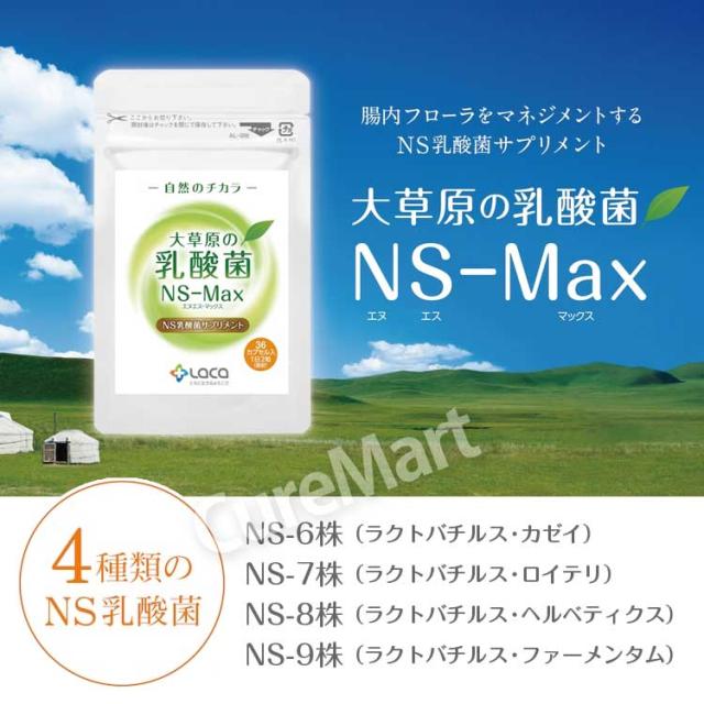 大草原の乳酸菌 NS-Max 36粒◆6袋セット [+32粒増量] NS乳酸菌サプリメント LACA モンゴル 乳酸菌 ロイテリ菌 善玉菌 共生性乳酸菌 乳酸桿菌 自然の力 エヌエス マックス MAX ラクア_1
