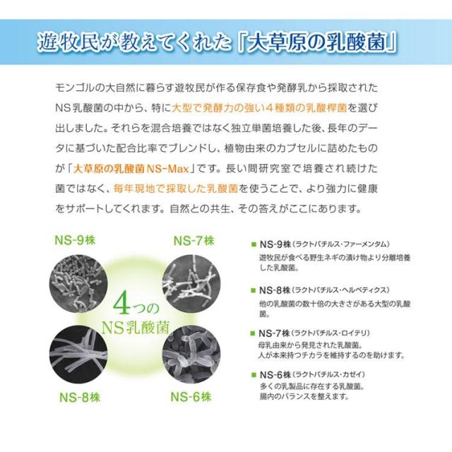 大草原の乳酸菌 NS-Max・NS-Slim◆各3袋(計6袋)セット [＋各16粒増量] NS乳酸菌サプリメント LACA モンゴル 乳酸菌 ロイテリ菌 善玉菌 共生性乳酸菌 乳酸桿菌 エヌエス マックス MAX スリム SLIM ラクア_2