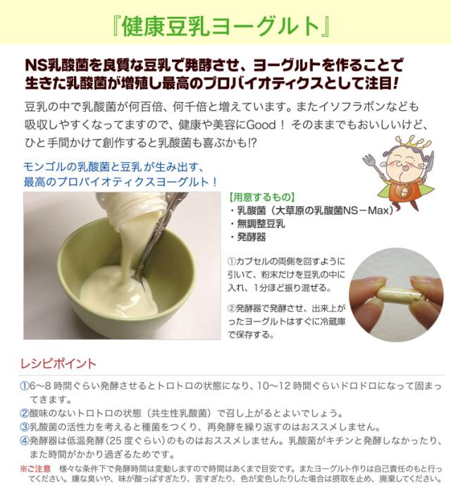 大草原の乳酸菌 NS-Max 36粒◆6袋セット [+32粒増量] NS乳酸菌サプリメント LACA モンゴル 乳酸菌 ロイテリ菌 善玉菌 共生性乳酸菌 乳酸桿菌 自然の力 エヌエス マックス MAX ラクア_4