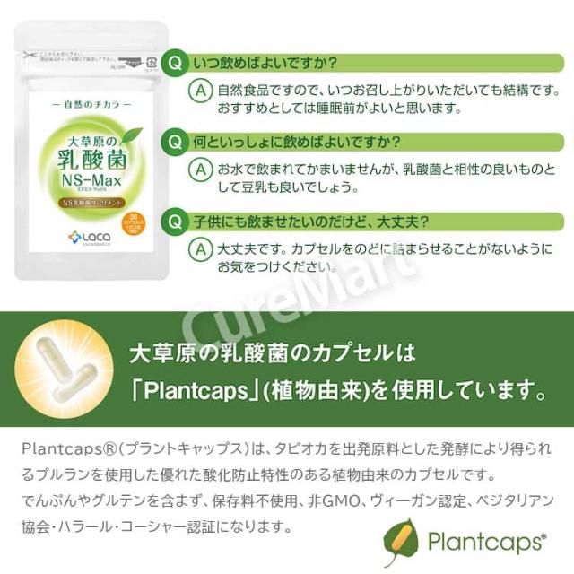 大草原の乳酸菌 NS-Max・NS-Slim◆各3袋(計6袋)セット [＋各16粒増量] NS乳酸菌サプリメント LACA モンゴル 乳酸菌 ロイテリ菌 善玉菌 共生性乳酸菌 乳酸桿菌 エヌエス マックス MAX スリム SLIM ラクア_5