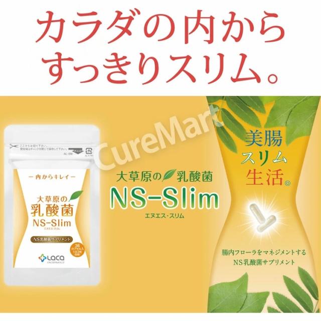 大草原の乳酸菌 NS-Slim 36粒◆2袋セット [+8粒増量] NS乳酸菌サプリメント LACA モンゴル 乳酸菌 ダイエット プランタルム 善玉菌 共生性乳酸菌 乳酸桿菌 内からキレイ エヌエス スリム SLIM ラクア_1