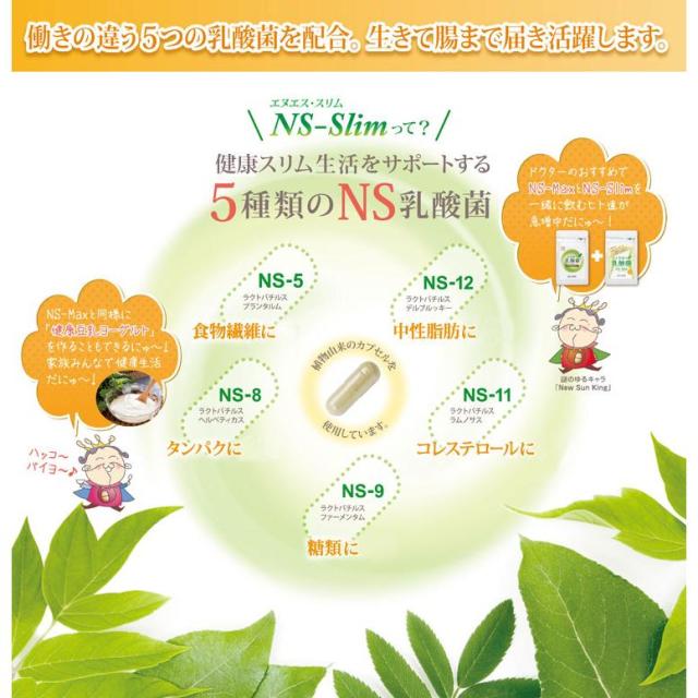 大草原の乳酸菌 NS-Slim 36粒◆2袋セット [+8粒増量] NS乳酸菌サプリメント LACA モンゴル 乳酸菌 ダイエット プランタルム 善玉菌 共生性乳酸菌 乳酸桿菌 内からキレイ エヌエス スリム SLIM ラクア_2