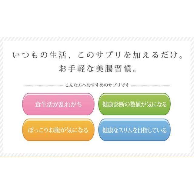 大草原の乳酸菌 NS-Max・NS-Slim◆各3袋(計6袋)セット [＋各16粒増量] NS乳酸菌サプリメント LACA モンゴル 乳酸菌 ロイテリ菌 善玉菌 共生性乳酸菌 乳酸桿菌 エヌエス マックス MAX スリム SLIM ラクア_3