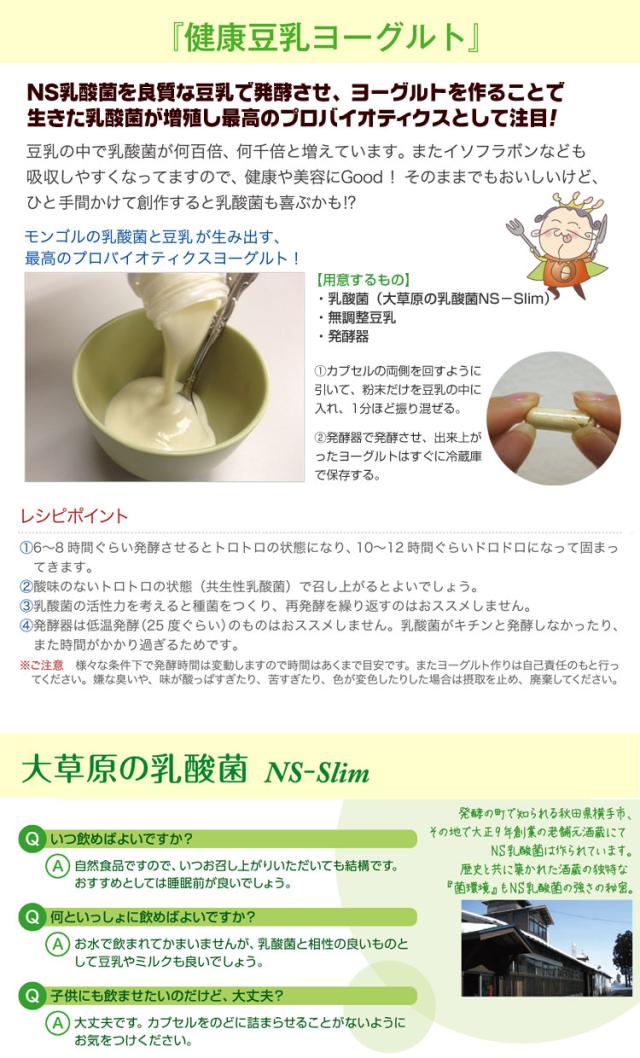 大草原の乳酸菌 NS-Slim 36粒◆2袋セット [+8粒増量] NS乳酸菌サプリメント LACA モンゴル 乳酸菌 ダイエット プランタルム 善玉菌 共生性乳酸菌 乳酸桿菌 内からキレイ エヌエス スリム SLIM ラクア_4