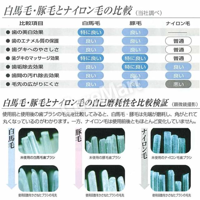 IKMT 歯ブラシ 豚毛 ふつう コンパクトヘッド◇2本セット