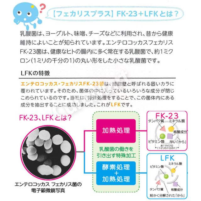 チサフェルナ 30包◆2箱セット [+6包増量] 日本製 乳酸菌 2兆2000億個 FK-23菌 エンテロコッカス フェカリス菌 LFK 乳酸菌 CHISA FERNA ニチニチ製薬の通販は