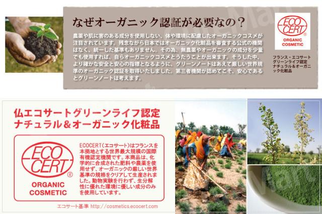 グリーンノート ヘナ オーガニータ ビターオレンジ 100g◆2箱セット グリーンノートヘナ オーガニック ヘナカラー 白髪染め 毛染め 白髪染め