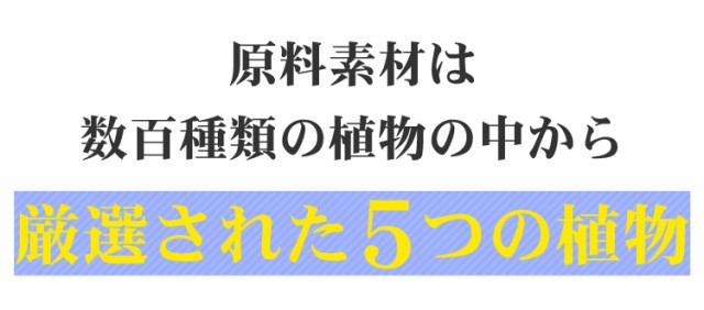 インターナチュラル 30包◆2箱セット 日本製 2020ver. INTER NATURAL 高分子植物性多糖体 インターフェロン インデューサー 小島抽出法 五漢生の粉 パラディアム 正規販売店の通販は