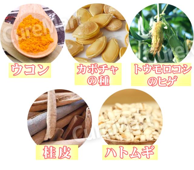 インターナチュラル 30包◆2箱セット 日本製 2020ver. INTER NATURAL 高分子植物性多糖体 インターフェロン インデューサー 小島抽出法 五漢生の粉 パラディアム 正規販売店の通販は