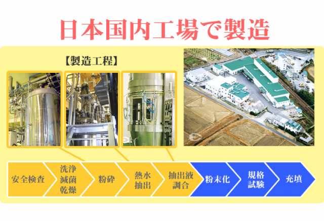 インターナチュラル 30包◆2箱セット 日本製 2020ver. INTER NATURAL 高分子植物性多糖体 インターフェロン インデューサー 小島抽出法 五漢生の粉 パラディアム 正規販売店の通販は