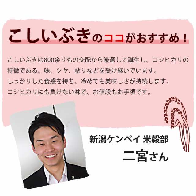 新潟産こしいぶき20kg