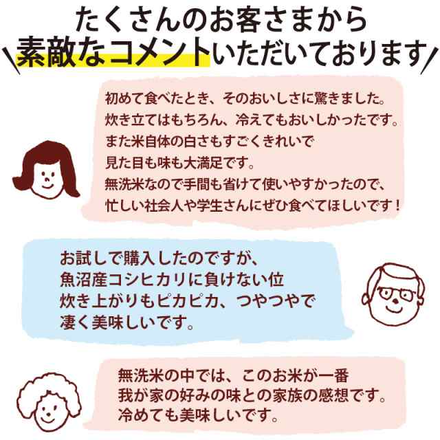 いなほんぽ　PAY　ギの通販はau　手荒れ防止　白米　無洗米　新潟のお米専門店　令和5年産☆新米】無洗米　吟精　コシヒカリ新潟　マーケット　20kg　新潟産コシヒカリ　エコ　20kg(5kg×4)　送料無料　｜お米　au　PAY　マーケット－通販サイト