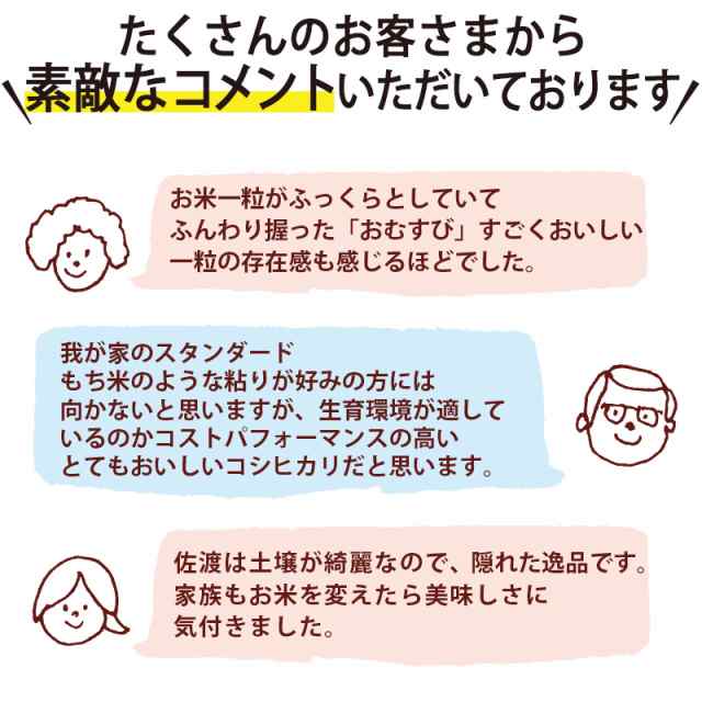 au　20kg(5kg×4)　マーケット　コシヒカリ新潟　いなほんぽ　PAY　PAY　送料無料　新潟　ギフト　20kg　｜お米　お祝の通販はau　新潟のお米専門店　内祝い　特別栽培米　佐渡産コシヒカリ　お返し　朱鷺と暮らす郷　白米　マーケット－通販サイト