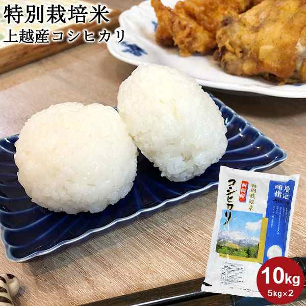 特別栽培米 上越産コシヒカリ 10kg(5kg×2) ｜お米 10kg 送料無料 白米 コシヒカリ新潟 減農薬 減化学肥料 ギフト 内祝い お返し お祝い の通販は