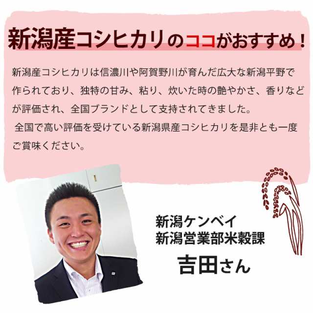 いなほんぽ　PAY　ギの通販はau　手荒れ防止　白米　無洗米　新潟のお米専門店　令和5年産☆新米】無洗米　吟精　コシヒカリ新潟　マーケット　20kg　新潟産コシヒカリ　エコ　20kg(5kg×4)　送料無料　｜お米　au　PAY　マーケット－通販サイト