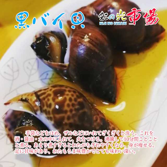 活 黒バイ貝 約５kg 殻付き 砂抜き 殻付き 煮付け 酒蒸し 炊き込みの通販はau PAY マーケット - 虹の光 au PAY マーケット店 |  au PAY マーケット－通販サイト