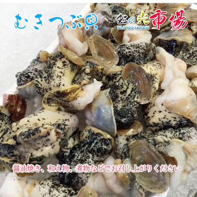ラクラク調理に使えるむき身でお届け！特上 活むきつぶ貝 ２kg ツブガイ むき身 醤油焼き 和え物 煮物など 鮮度抜群の通販は
