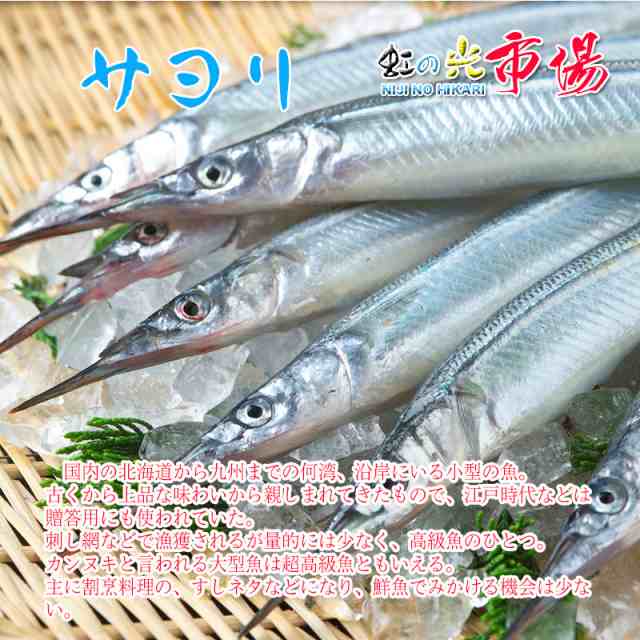 茨城県産 サヨリ 約１kg（1尾60g～１００g前後入り） 細魚 針魚 さより