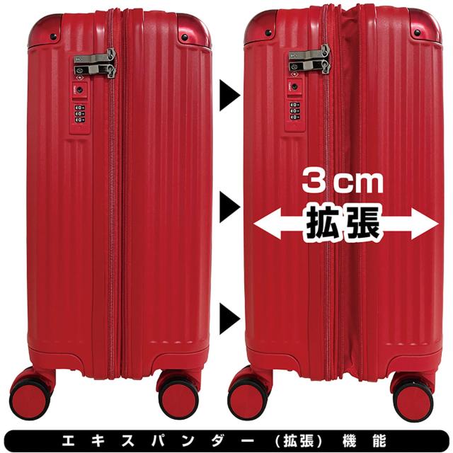 Amazon | Coleman(コールマン) フューエルキャリーケース 170