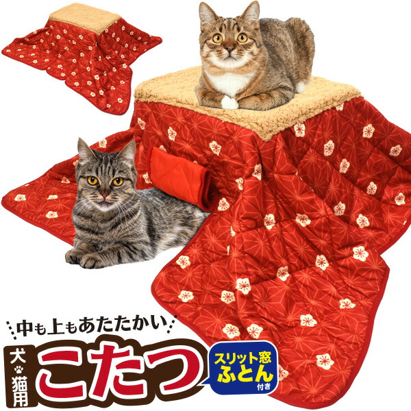 ご好評につき再入荷 送料無料 ペット用 こたつ ワンちゃん 犬 いぬ イヌ ねこ 猫 ネコ コタツ おこた 秋 冬 防寒 寒さ対策 暖房 暖かい ペット 省エネ ヒーター 机 テーブル マット ふとん ペット専用 暖房器具 かわいい ぬくぬく 入荷 あったか 猫用こたつ hotkota01