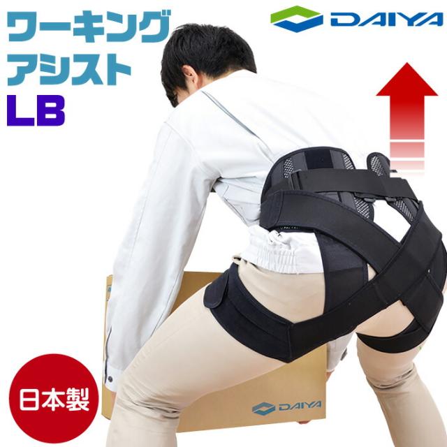 古代ソマチッド 石タイプ100g 3個セット